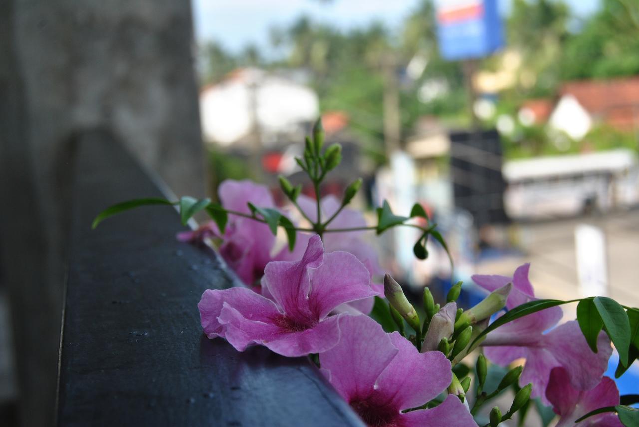 The Canoe เนกอมโบ ภายนอก รูปภาพ